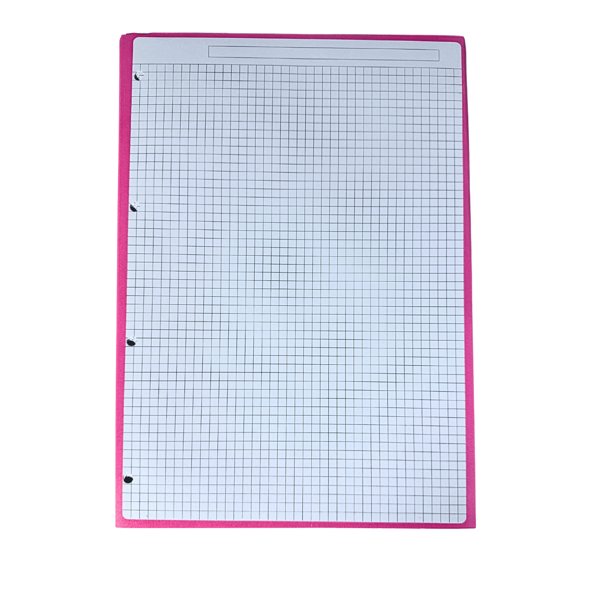 Hojas de Recambio A4 Borde Rosado Cuadrícula 5mm – 100gr, Pack de 60 Hojas