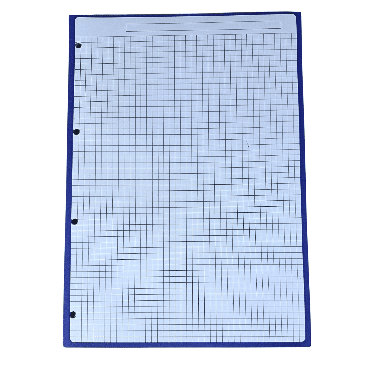 Hojas de Recambio A4 Borde Azul Cuadrícula 5mm – 100gr, Pack de 60 Hojas