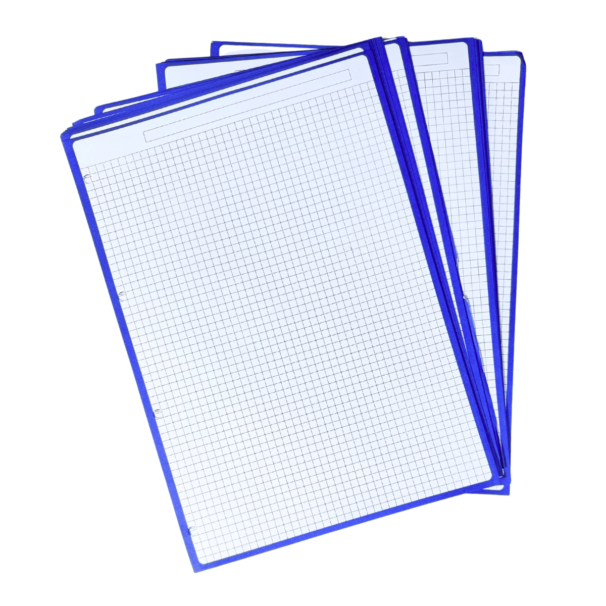 Hojas de Recambio A4 Borde Azul Cuadrícula 5mm – 100gr, Pack de 60 Hojas