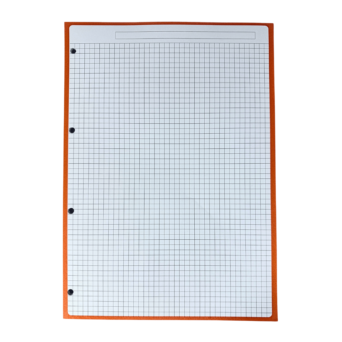 Hojas de Recambio A4 Borde Surtido Cuadrícula 5mm – 100gr, Pack de 60 Hojas