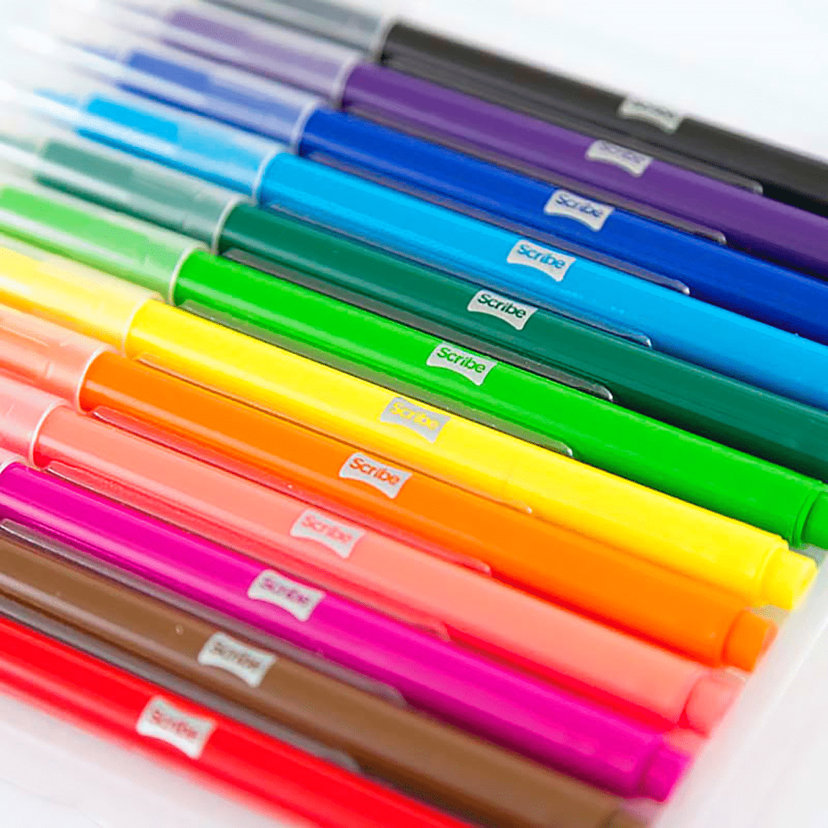 Marcadores Punta Fina Scribe x 12 Unidades, Plumones Escolares de Trazo Delgado