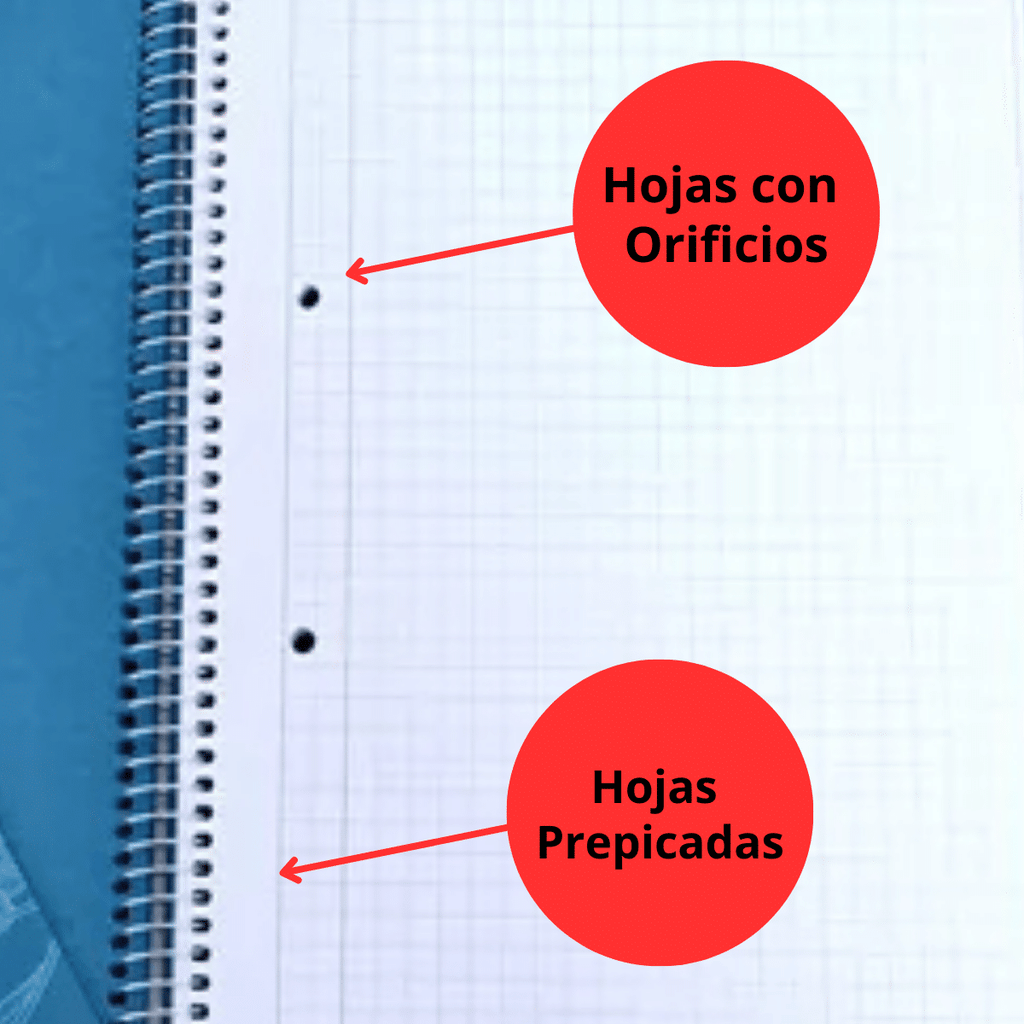 Pack 10 Cuadernos Univ. Hombre 7mm x 100 Hojas Prepicada y Con Orificio