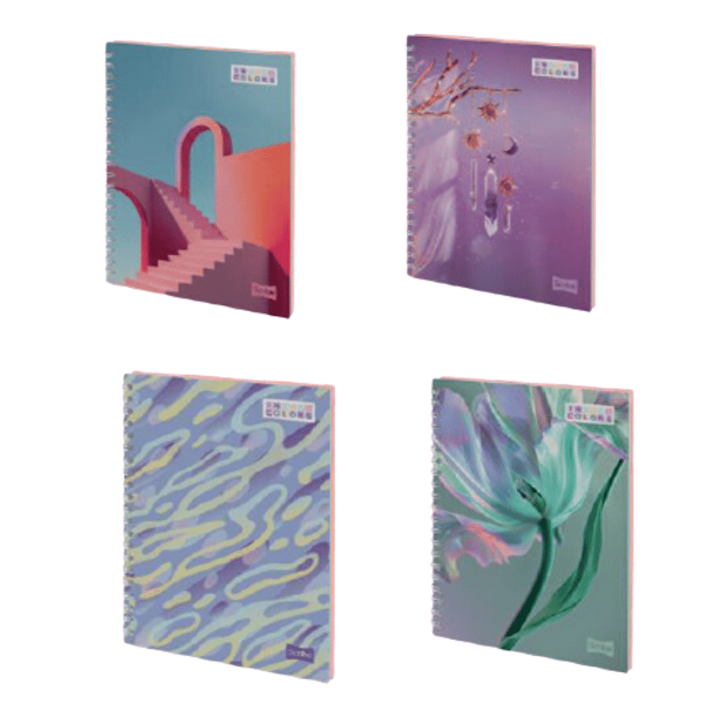 Pack 4 Cuadernos Universitario Tapa Dura Grande Mujer Scribe 7mmx120 Hojas