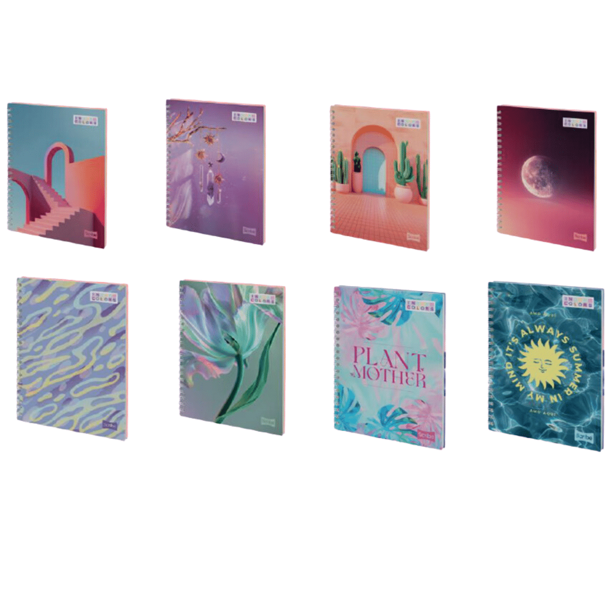 Pack 4 Cuadernos Universitario Tapa Dura Grande Mujer Scribe 7mmx120 Hojas