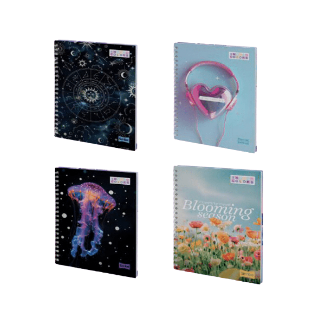 Pack 4 Cuadernos Universitario 7mmx150 Hojas Tapa Dura Grande Mujer Scribe