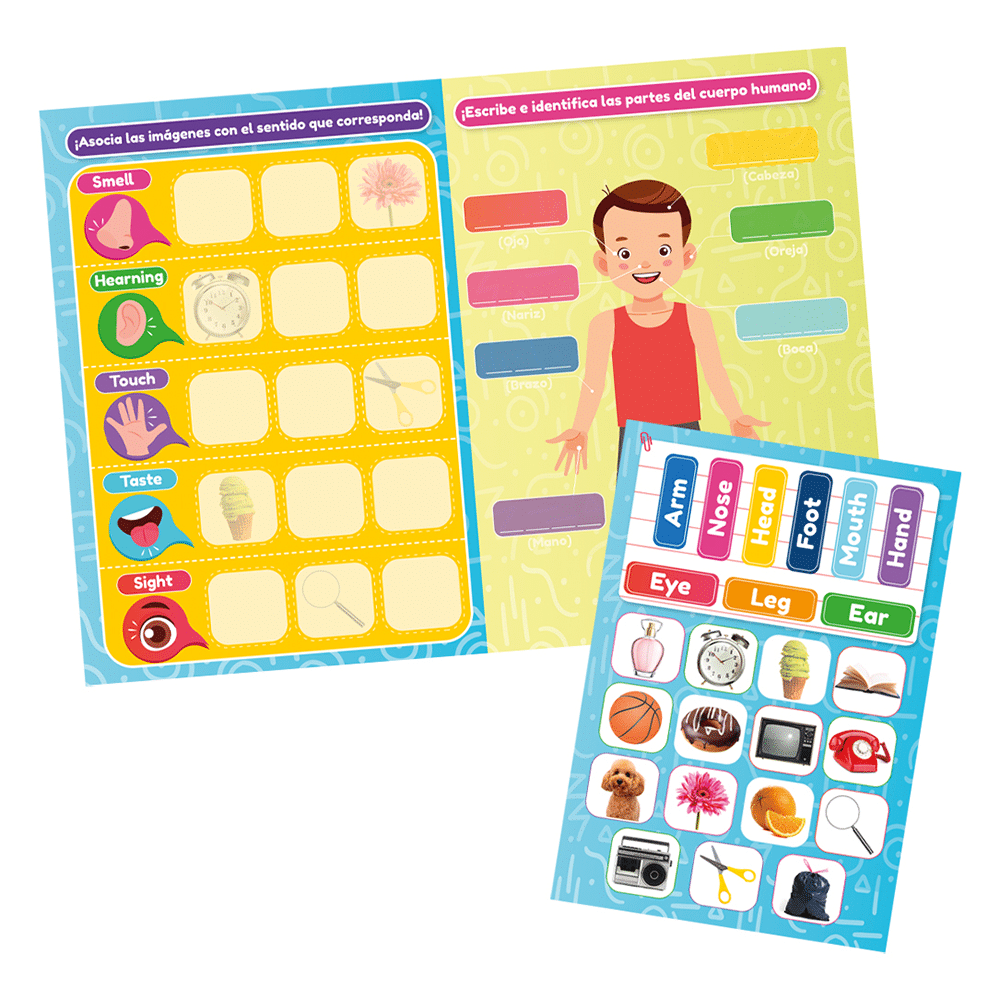 Juego Didáctico De Lámina Magnética Interactiva Inglés y Marcador Adetec +5años