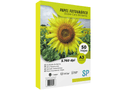 Papel Fotográfico Glossy Doble Cara A3 300gr X 50 Hojas SP