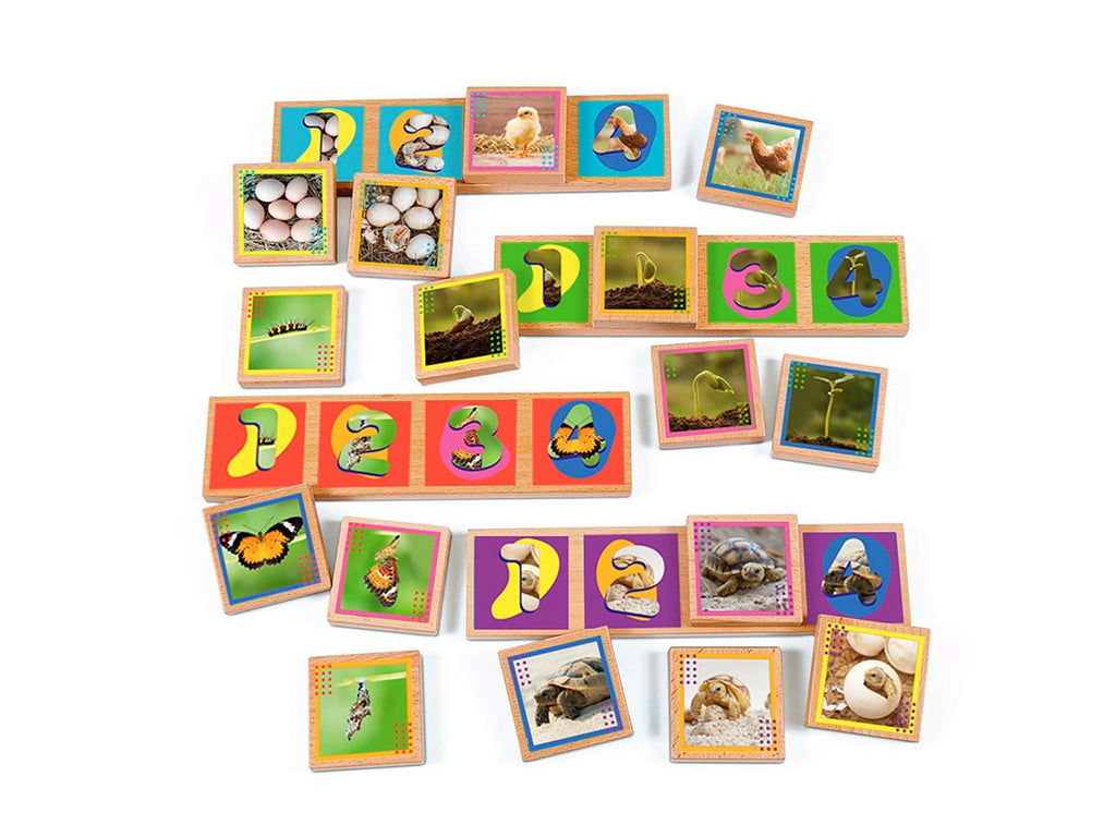 Secuencias De Los Ciclos De Vida 20 Pza Juego Didáctico De Madera