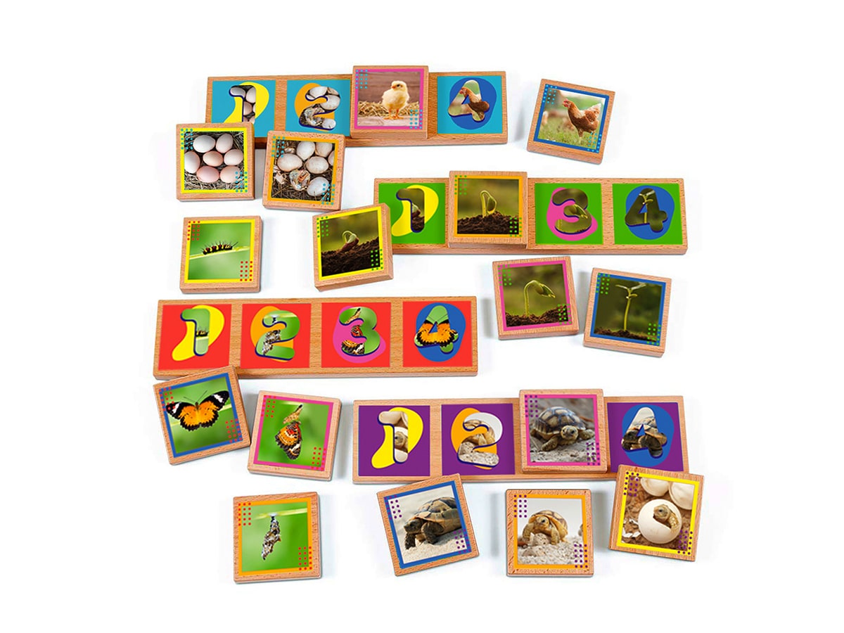 Secuencias De Los Ciclos De Vida 20 Pza Juego Didáctico De Madera