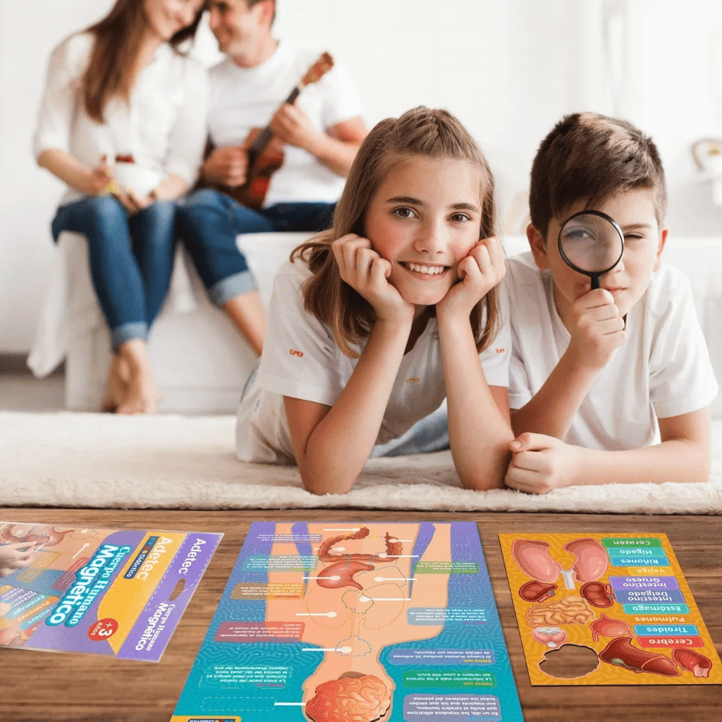 Lámina Magnética De Cuerpo Humano Adetec +3años