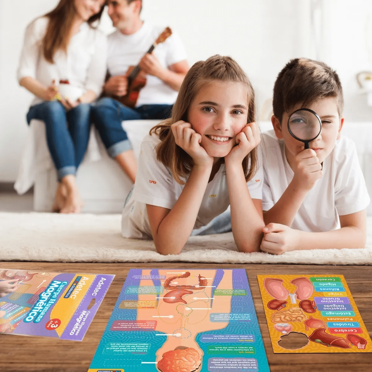 Lámina Magnética De Cuerpo Humano Adetec +3años