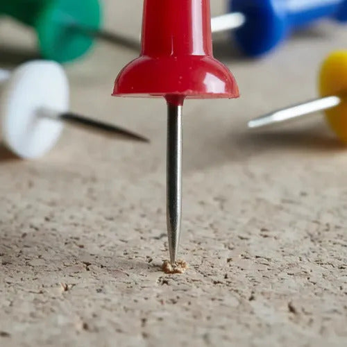 Push Pin Redondo Chico Adix, 100 Unidades