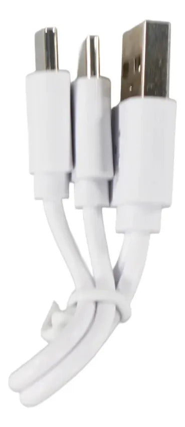 Pila Tecnolab  Recargable 9v Con Cable De Carga Usb 1ud