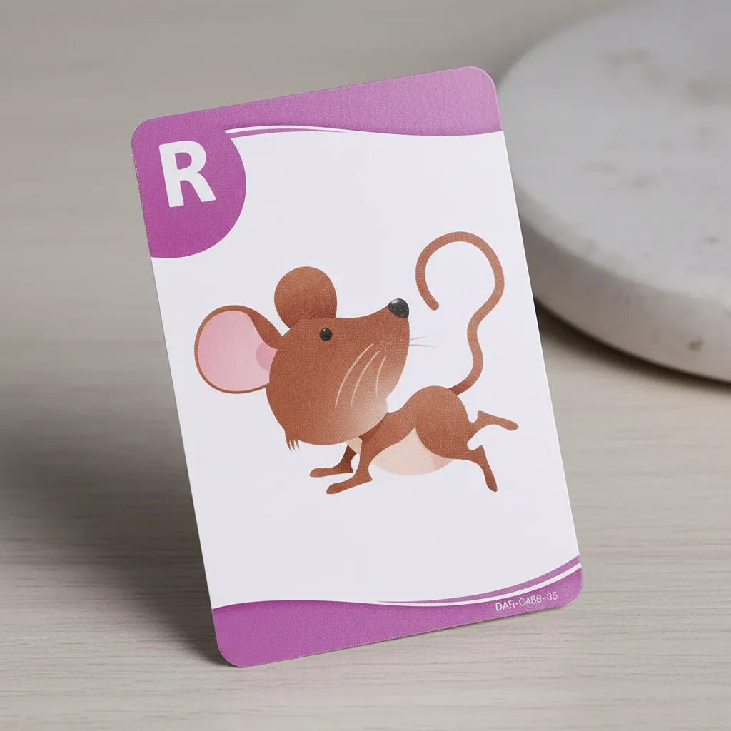 Flash Cards Abecedario Dactic 60 Piezas