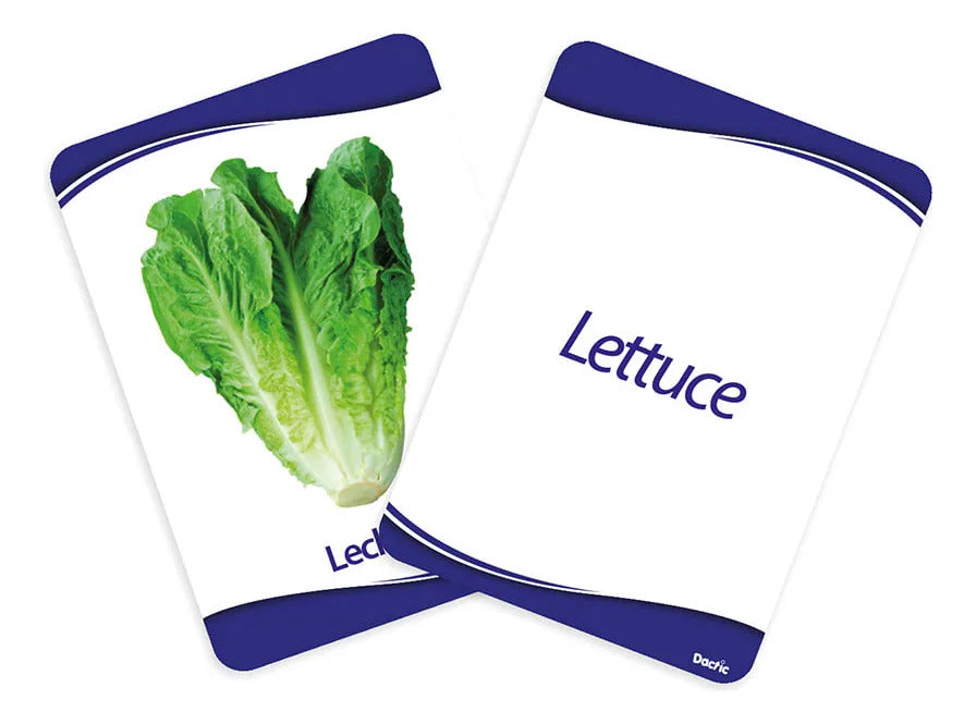 Láminas Didácticas Alimentación Saludable Dactic