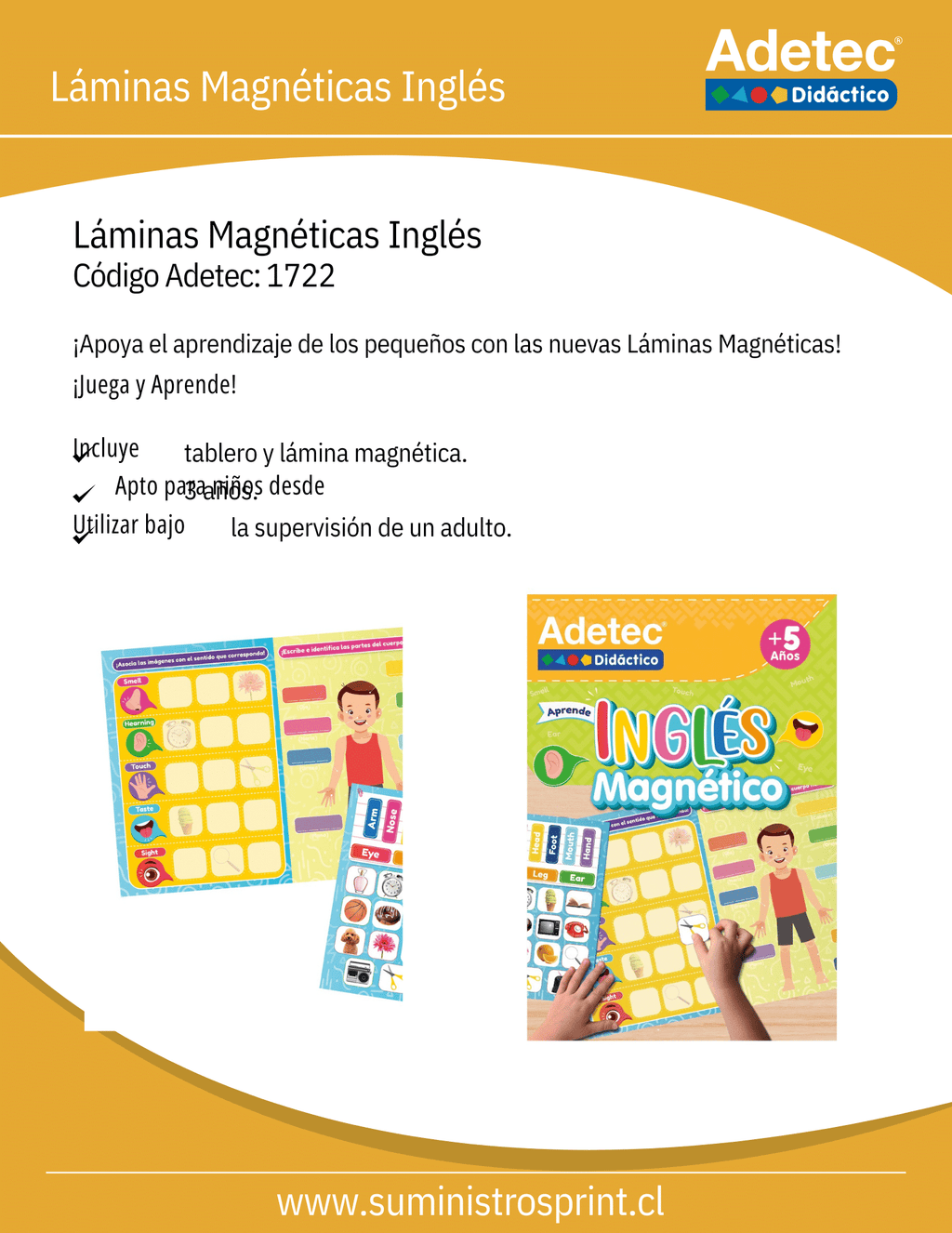 Juego Didáctico De Lámina Magnética Interactiva Inglés y Marcador Adetec +5años