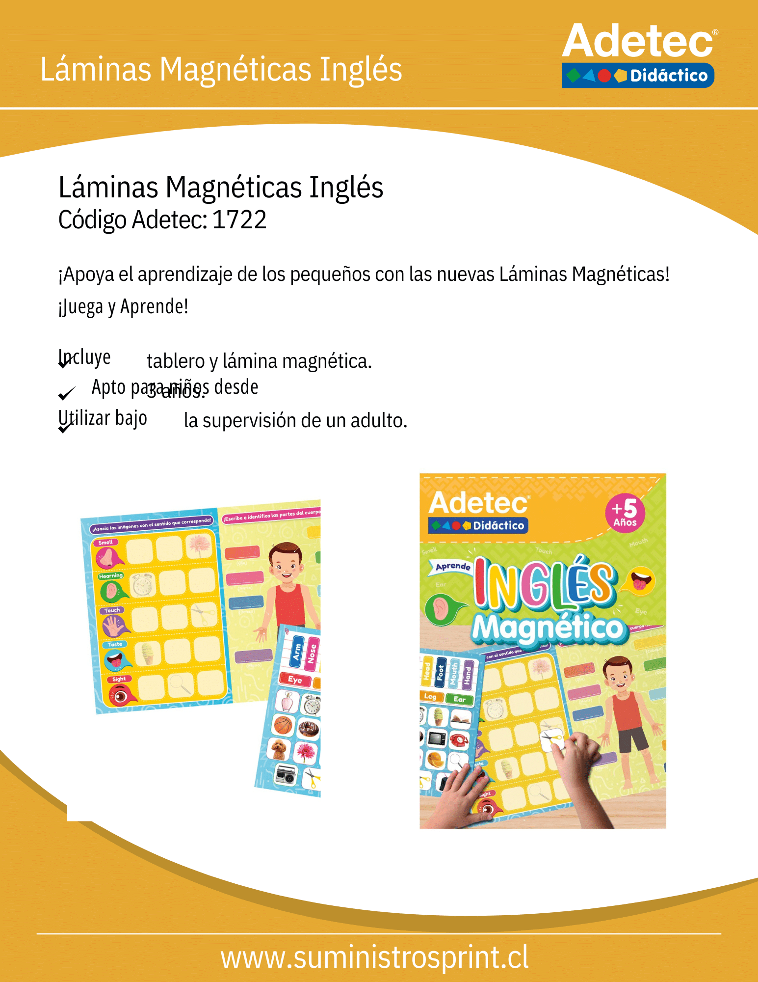 Juego Didáctico De Lámina Magnética Interactiva Inglés y Marcador Adetec +5años