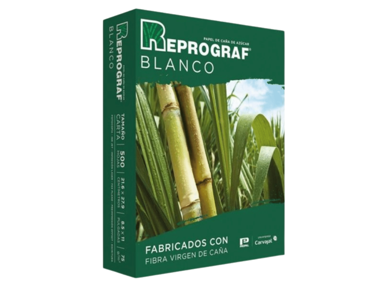 Papel Fotocopia Reprograf Resma Carta 75 Gr x 500 Hojas