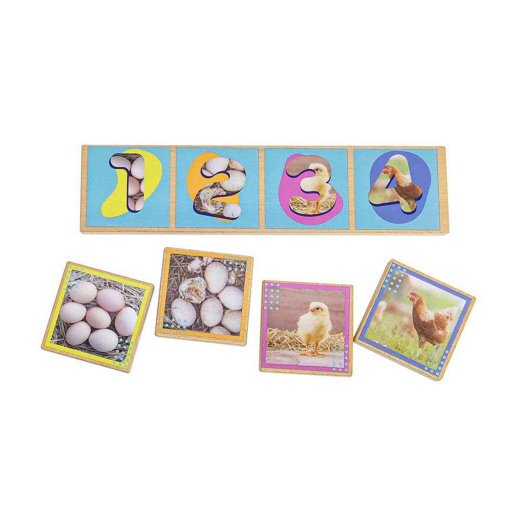 Secuencias De Los Ciclos De Vida 20 Pza Juego Didáctico De Madera