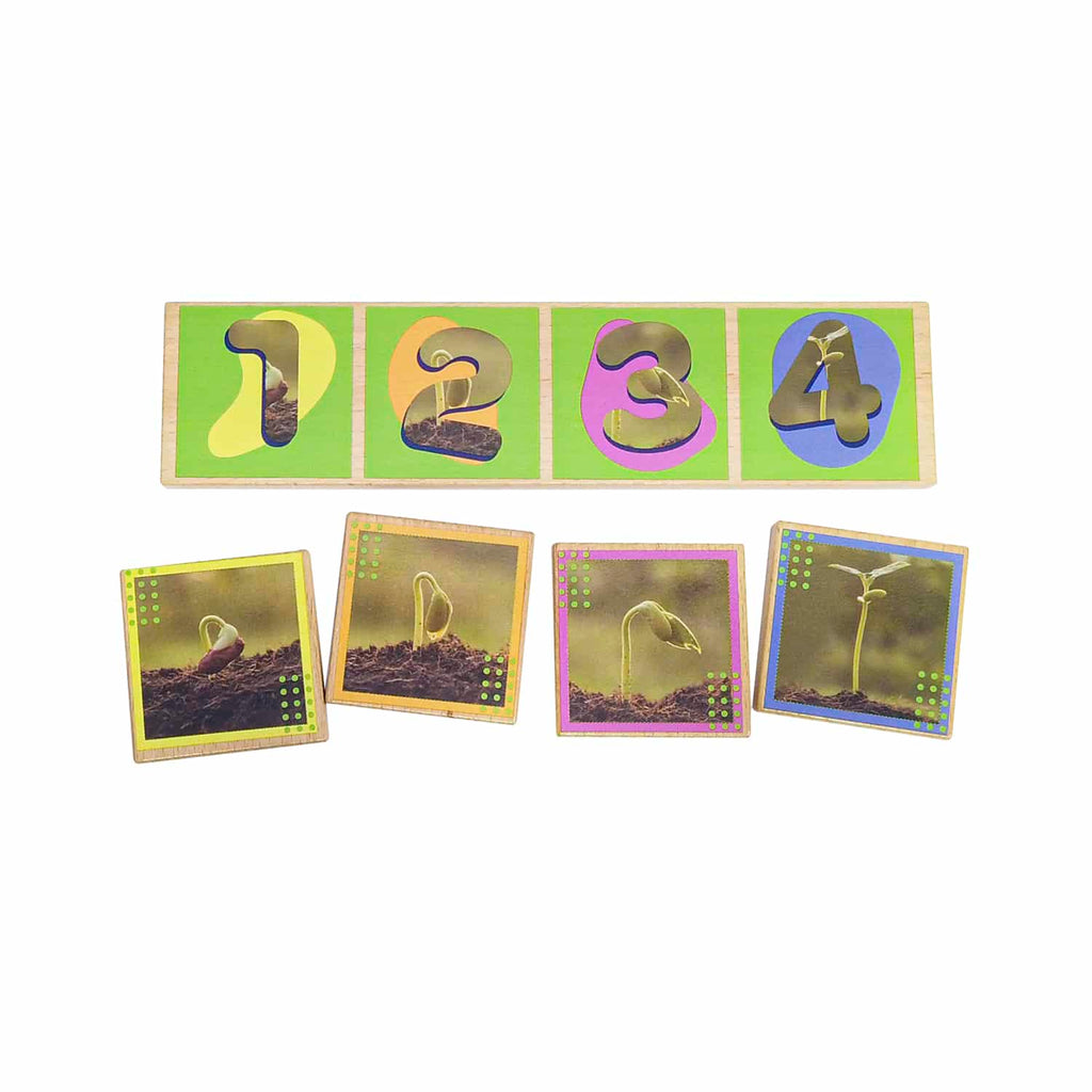 Secuencias De Los Ciclos De Vida 20 Pza Juego Didáctico De Madera