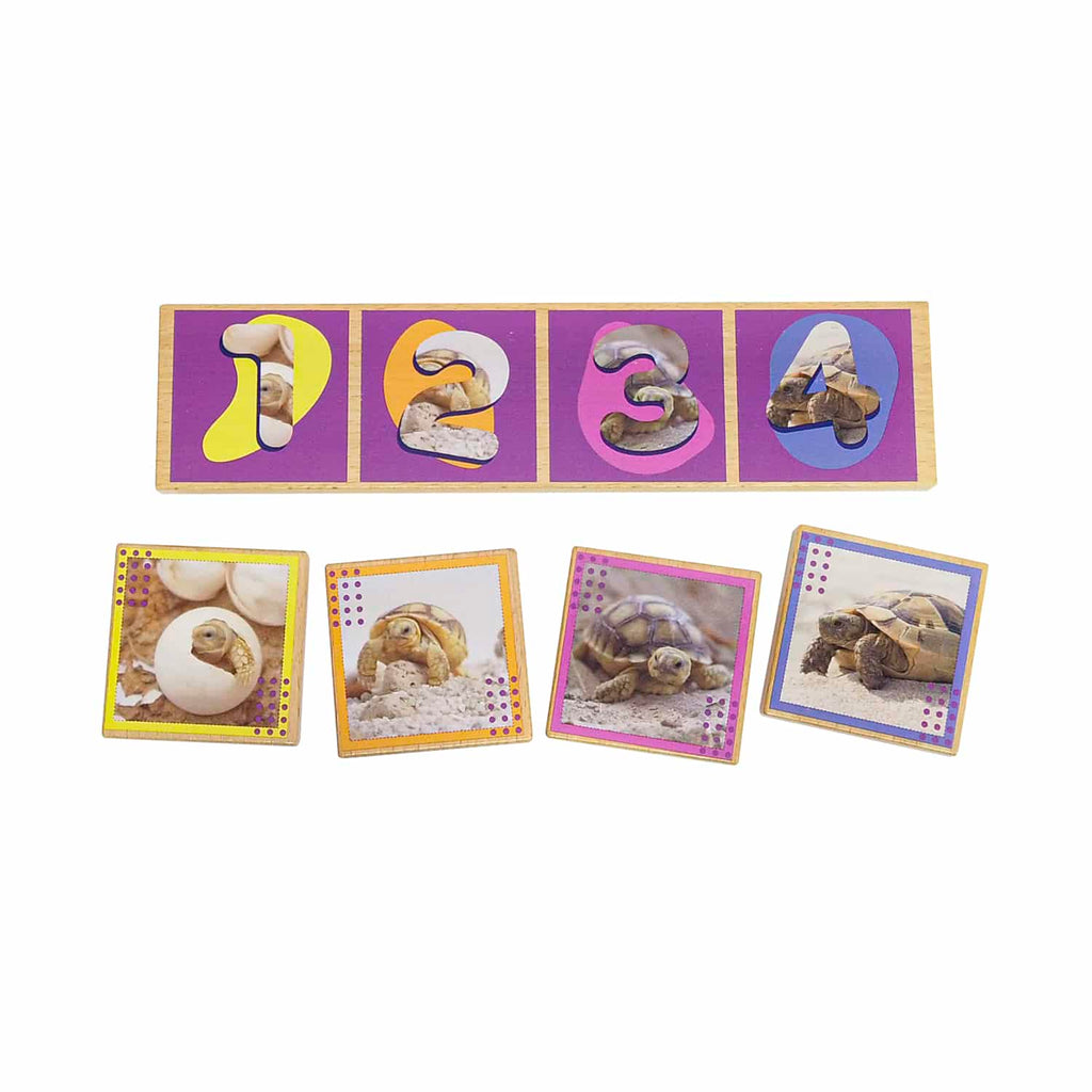 Secuencias De Los Ciclos De Vida 20 Pza Juego Didáctico De Madera