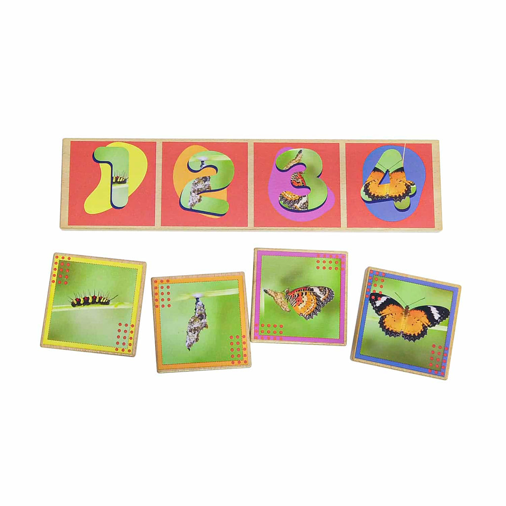 Secuencias De Los Ciclos De Vida 20 Pza Juego Didáctico De Madera